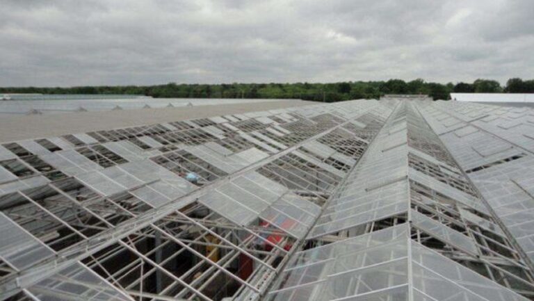 Broken panes show the random pattern of destruction at Midwest Growers greenhouse