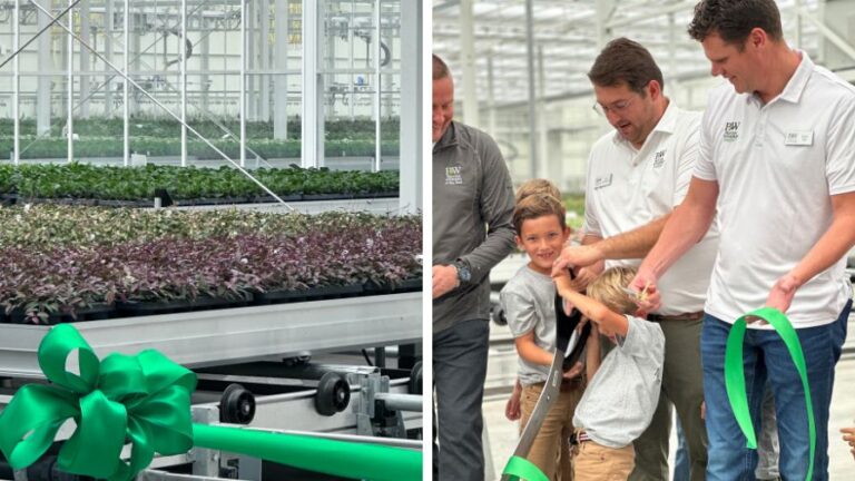 The Plant Company greenhouse expansion for leafjoy houseplant demand