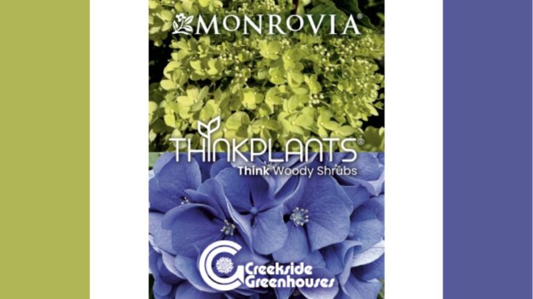 ThinkPlants Monrovia and Creekside Greenhouse Shrub Liner Program