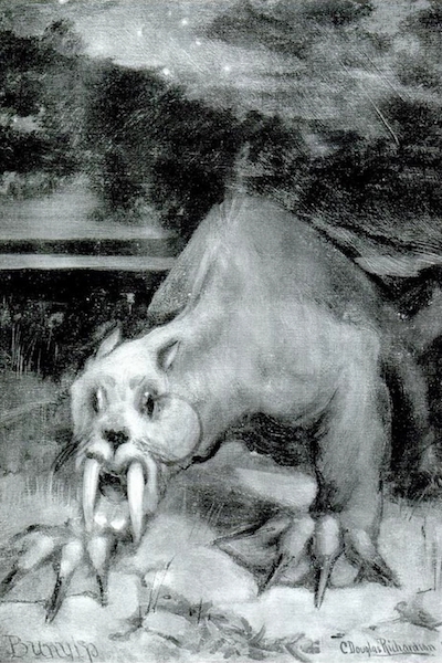 Bunyip by C.D. Richardson vertical