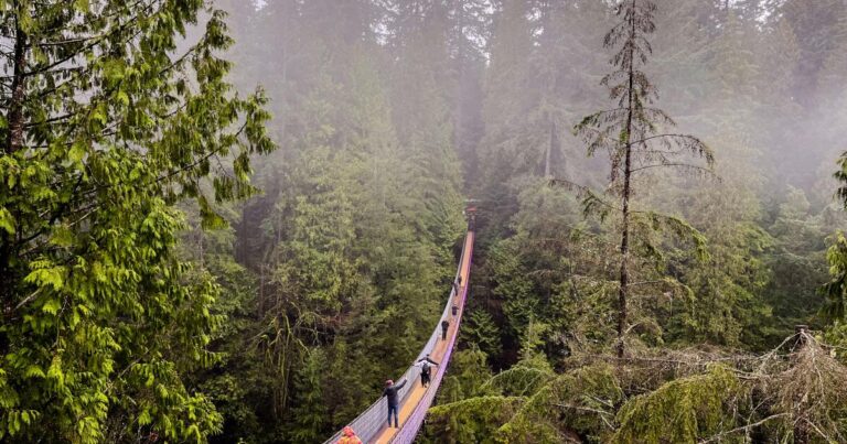 urlhttps3A2F2Fcalifornia times brightspot.s3.amazonaws.com2F682F4a2Fe711cf7b43bea96aca6786afb9a62Ftr vancouver poi capilano suspension bridge park christopher reynolds 025